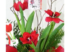 c_pia_2_de_vaso_de_tulipa_foto_1
