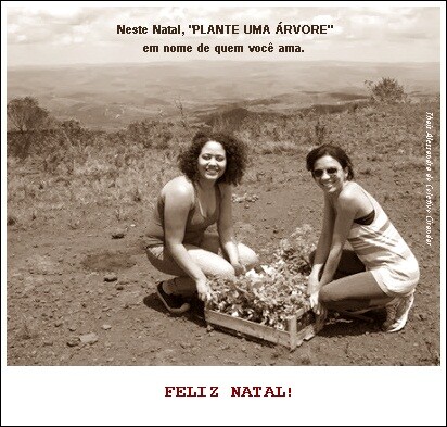 campanha plante uma arvore 2