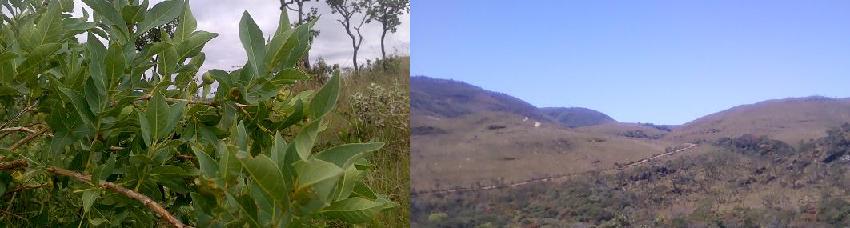 Paisagem Rupestre Serra das Gandarelas