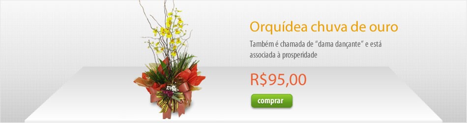 Orquídea Dendróbium