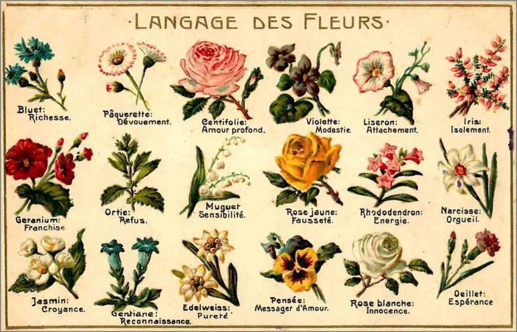 linguagem-das-flores