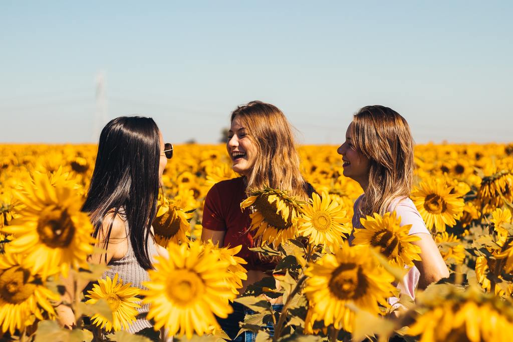presentear com flores