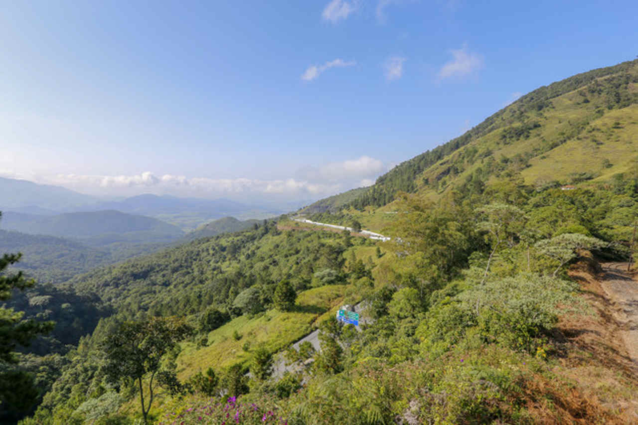Cerrado Minas Gerais