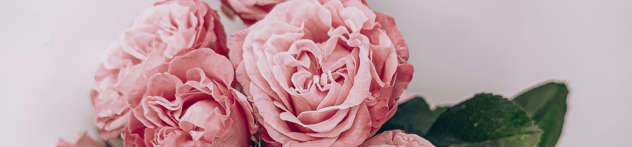 LINHA - DIA DAS MÃES