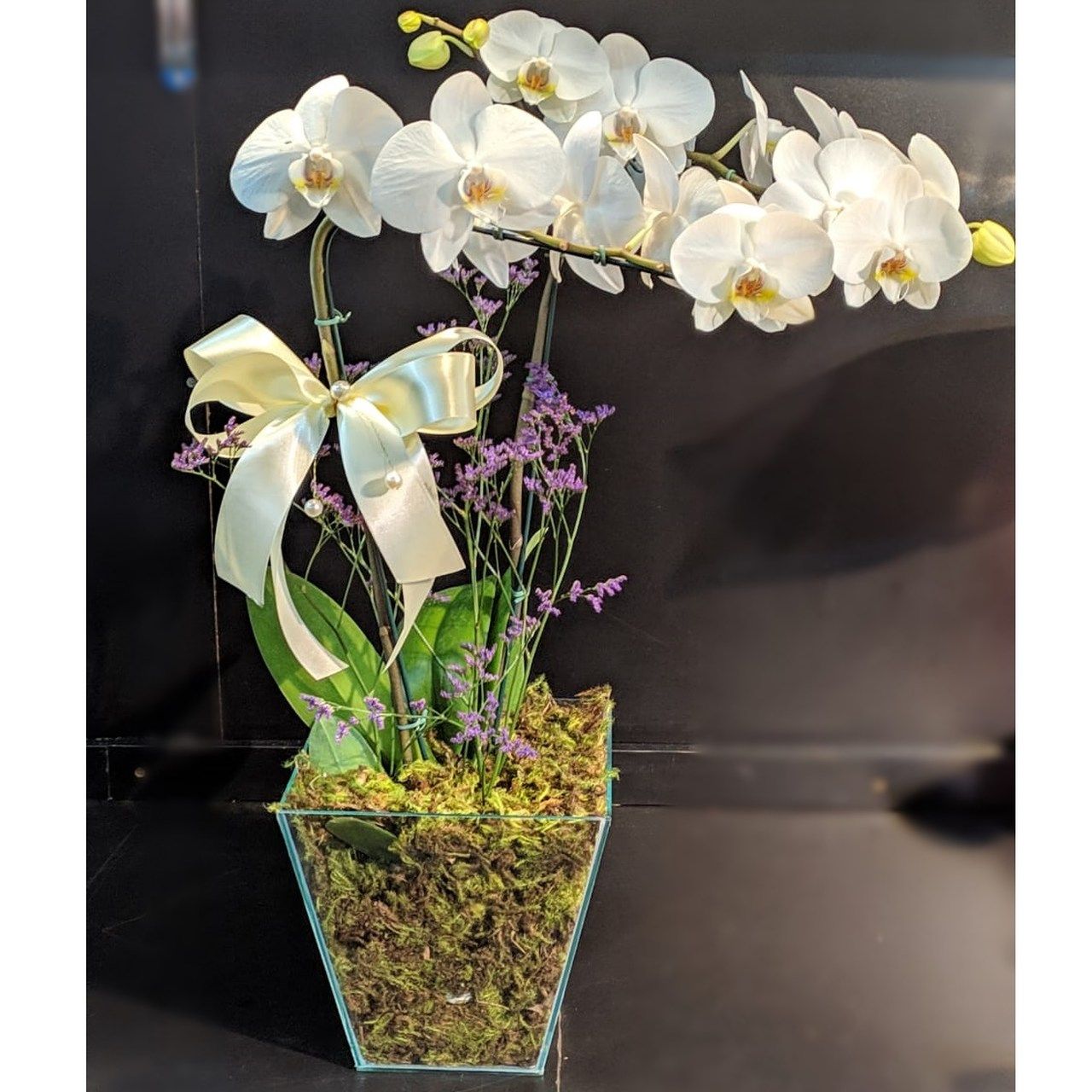Entrega online de flores a domicilio - Orquídeas Como cuidar.