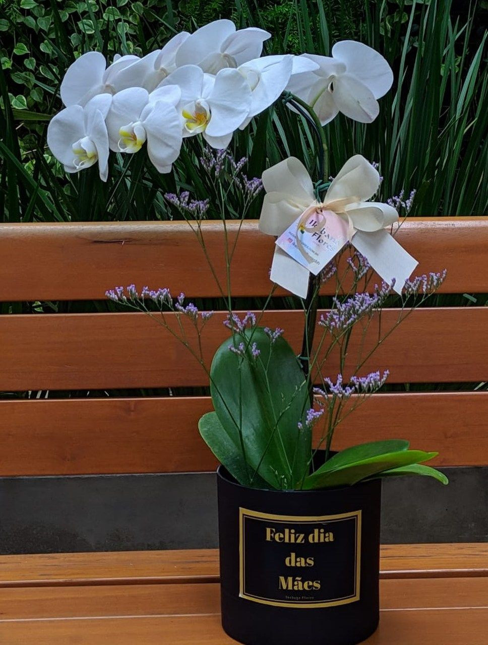 Orquídea branca - Especial Mãe