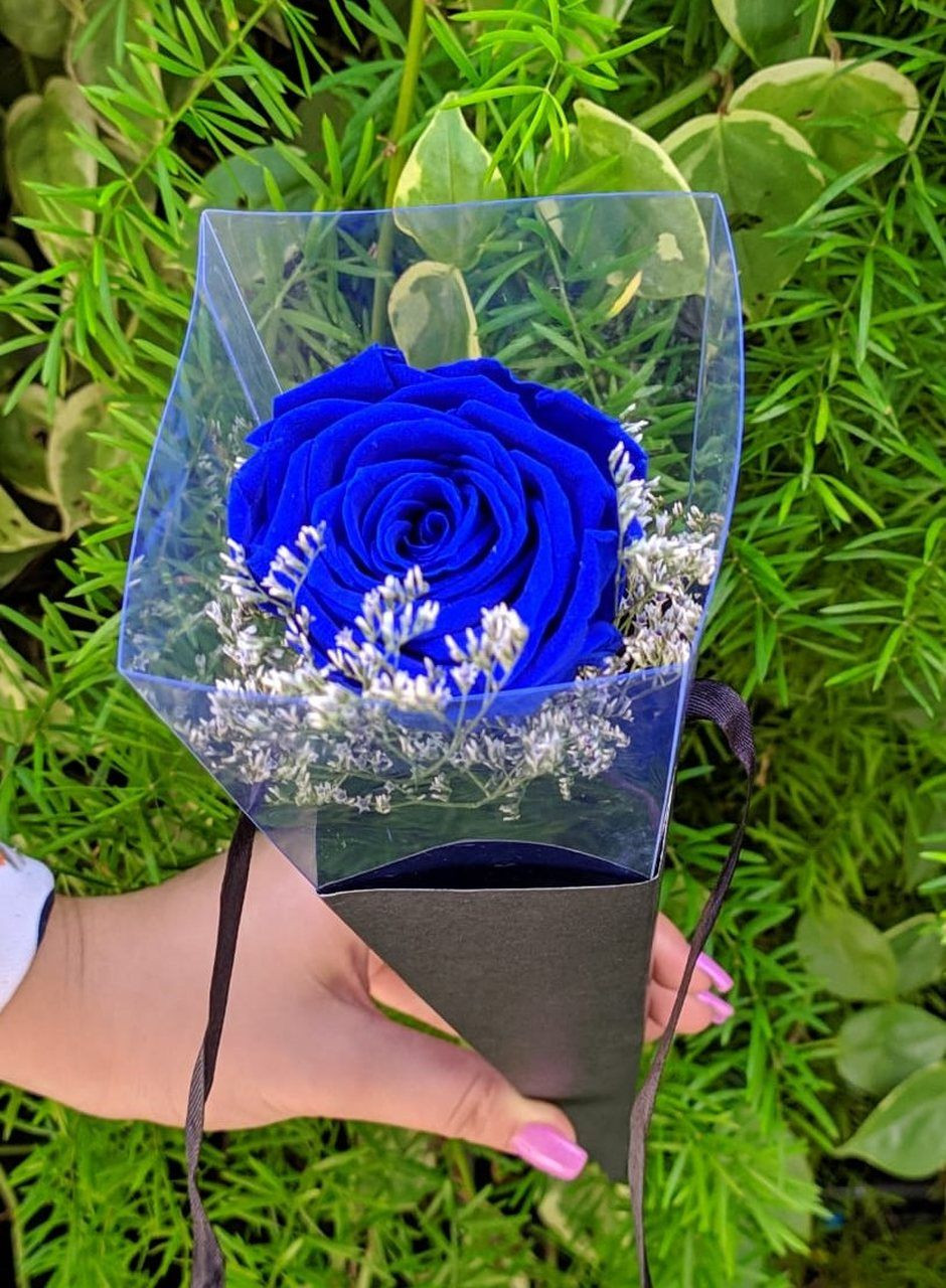 Rosa eterna Azul