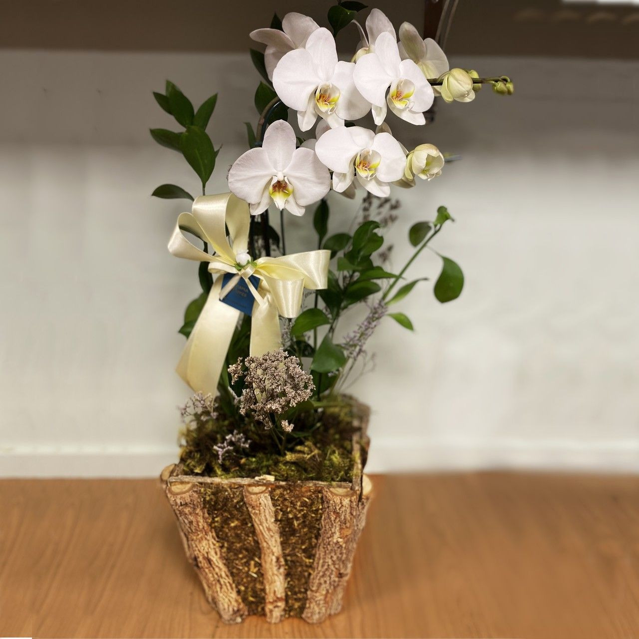 flores baratas e como cuidar das orquídeas,entrega para o Brasil.