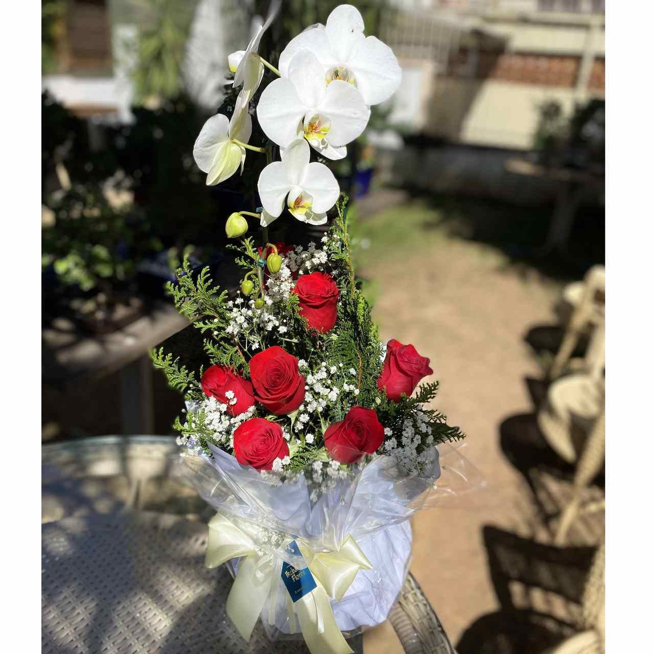 Para pessoas especiais - Vaso de orquídea e arranjo de rosas Vermelhas