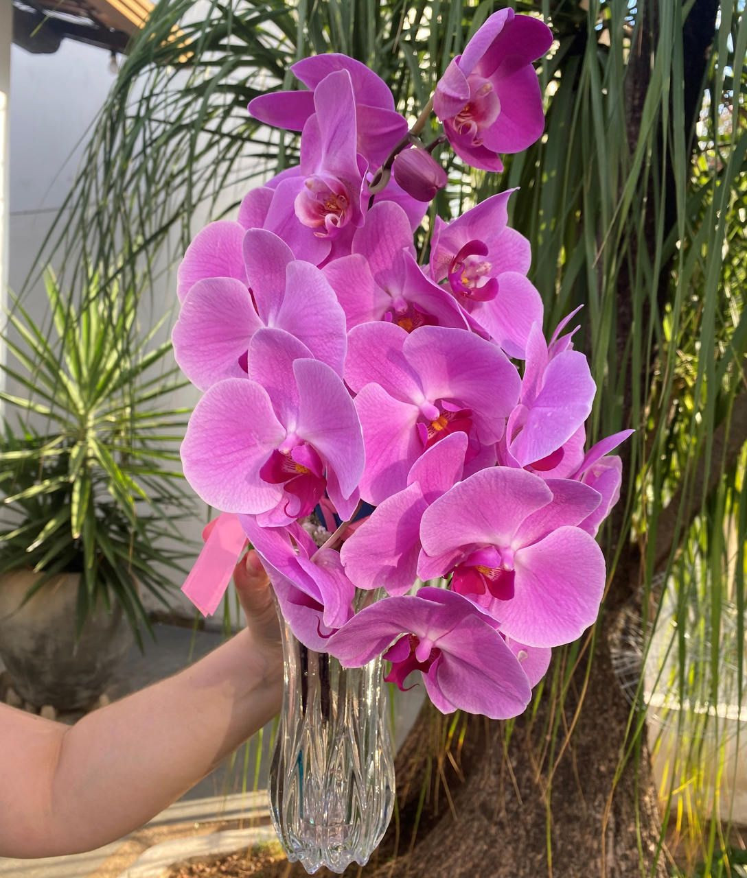 Buquê de Orquídea no vidro BH