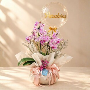 Mini Orquídea Aurora com Balão parabéns