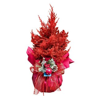 Pinheiro na cor vermelha embalado com embalagem natalina