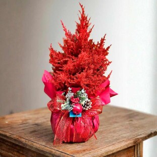 Pinheiro na cor vermelha embalado com embalagem natalina