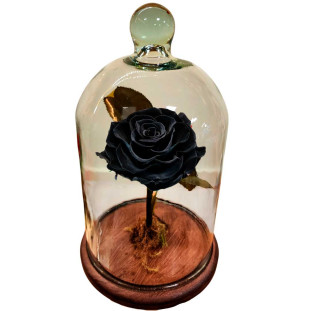 Rosa Eterna Príncipe Negro