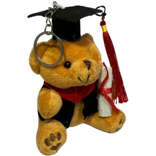 chaveiro ursinho formatura pp com diploma e capelo pelucia ikebana flores