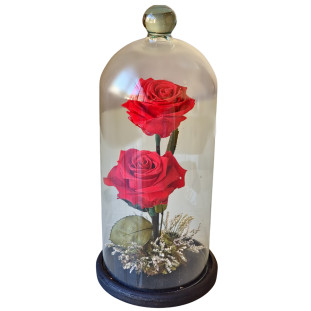 duas rosas vermelhas em uma cúpula de vidro