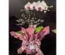 Orquídea Phalaenoposis branco com roxo