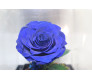 Rosa azul preservada - Ikebana Flores