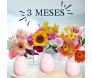 três vasos com flores distintas