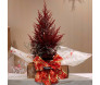 Bonsai de Tuia Vermelha em embalagem de presente com laço decorativo vermelho e dourado