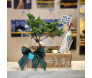 Bonsai Tuia Jacaré em caixa de papel kraft com laço de cetim e tag de Feliz Dia dos Pais, perfeito para presentear