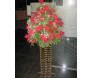 Coluna de Flores do Campo