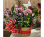 Cesta de Natal com mini orquídeas rosas e decoração natalina, incluindo uma borboleta decorativa