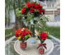 decoração de Natal com flores vermelhas em diferentes arranjos
