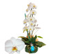 orquidea branca em uma embalagem na cor verde