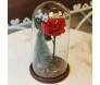 Rosa preservada vermelha dentro de uma cúpula de vidro com uma mini árvore de Natal