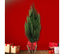 Árvore de Natal Tuia em cachepot de madeira com laço vermelho de bolinhas, ideal para decoração natalina interna e externa.