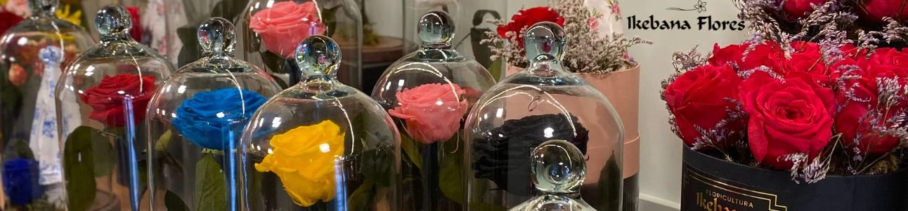 FLORICULTURA ABERTA COM ENTREGA NO DOMINGO