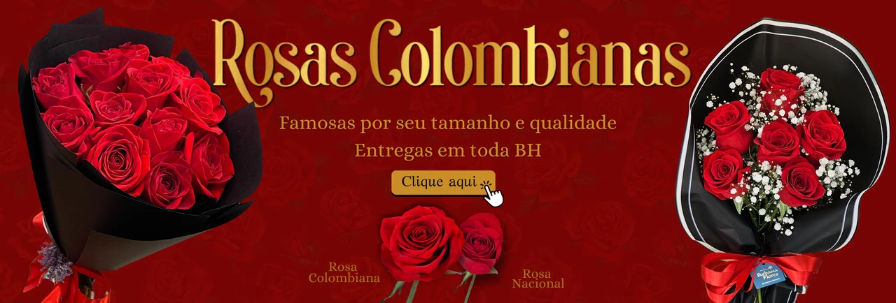 Rosa colombiana - BH