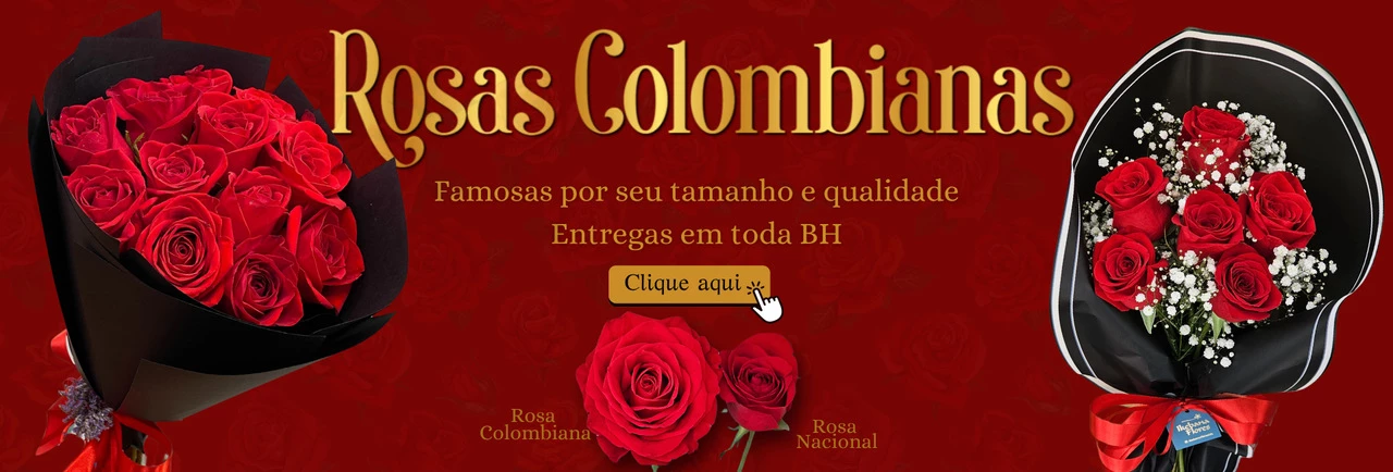 Rosa colombiana - BH