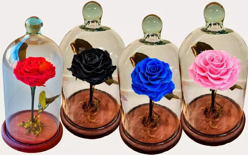 Rosa Eterna