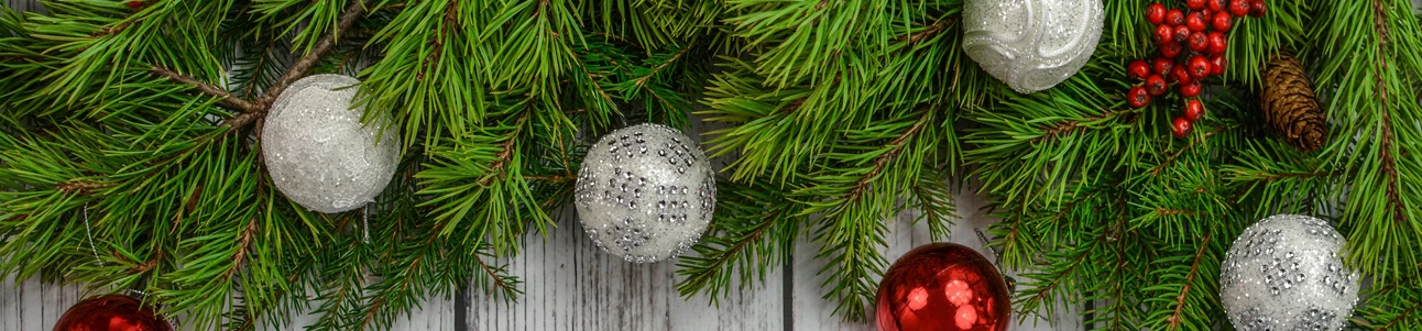 FLORES FINAL DE ANO E NATAL