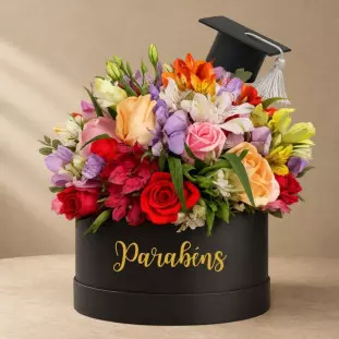 Box Formatura