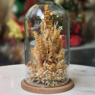 rvore artesanal feita de flores secas dentro de cúpula de vidro