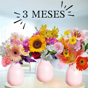 três vasos com flores distintas