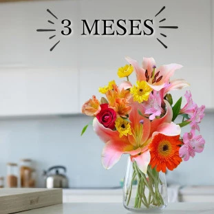 vaso de flores recheado de flores diversas