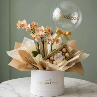 Flower box cilíndrica botânica com orquídea Phalaenopsis pêssego, caixa de bombons Ferrero Rocher e balão bubble transparente com inscrição Parabéns em dourado.