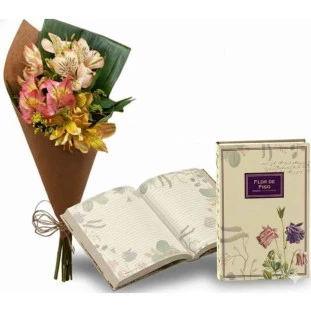 Buquê de astromélias mistas em cone kraft acompanhado de caderno perfumado Flor de Figo Dani Fernandes com 160 folhas pautadas, entrega em Belo Horizonte.