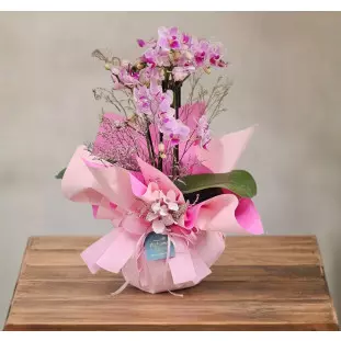 Mini Orquídea rosada 