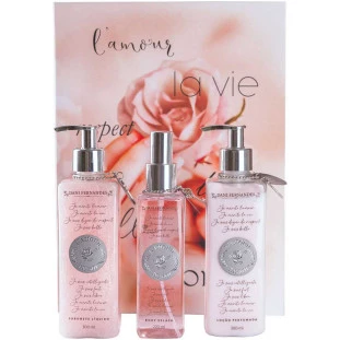 Kit Dani Fernandes L’amour de Soi com body splash, sabonete líquido e loção perfumada em caixa livro