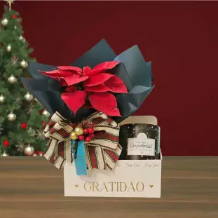 presente de natal com flor bico de papagaio