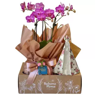 Kit presente com mini orquídea phalaenopsis rosa e imagem de Nossa Senhora em gesso com estampa floral rosa dentro de uma caixa kraft - Ikebana Flores.