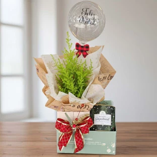 Kit Natal Encantado com Pinheirinho + Biscoito - Gratidão