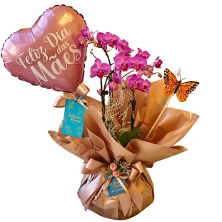 Mini Orquídea - Mãe
