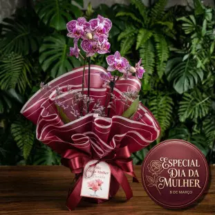Mini orquídea Phalaenopsis lilás com detalhes brancos em embalagem de luxo bordô com laço de cetim e tag Feliz Dia da Mulher.