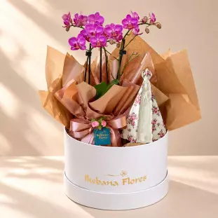 Kit Nossa Senhora Rosa + Mini Orquídea Rosada